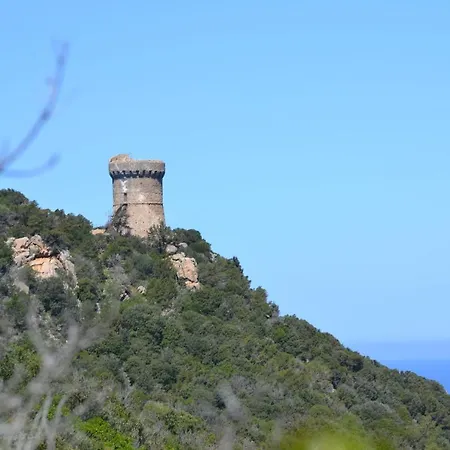 Les Du Valinco - Corse Du Sud Propriano (Corsica)